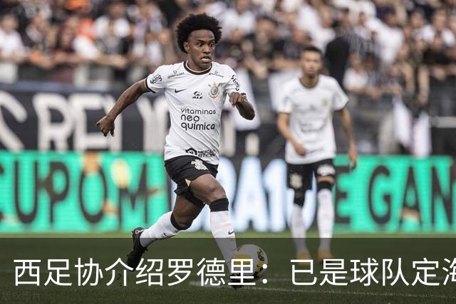 西足协介绍罗德里：已是球队定海神针，带领年轻球员向世界杯冲击
